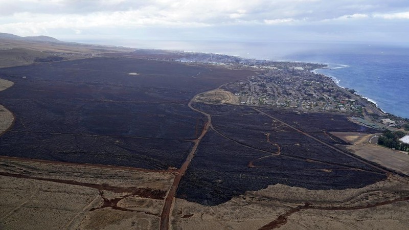 FILE - Wildfire devastation is seen outside the city Lahaina, Hawaii, Aug. 10, 2023. Experts say the fires are likely to transform the landscape in unwanted ways, hasten erosion, send sediment into waterways and degrade coral that’s critically important to the islands, marine life and people who live near it. (AP Photo/Rick Bowmer, File)