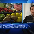 RI Mau Masuk OECD, Mimpi Jadi Negara Maju Cepat Terwujud?