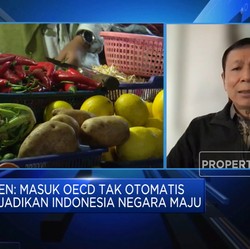 RI Mau Masuk OECD, Mimpi Jadi Negara Maju Cepat Terwujud?