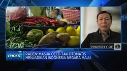 RI Mau Masuk OECD, Mimpi Jadi Negara Maju Cepat Terwujud?