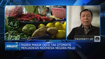 RI Mau Masuk OECD, Mimpi Jadi Negara Maju Cepat Terwujud?
