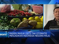 RI Mau Masuk OECD, Mimpi Jadi Negara Maju Cepat Terwujud?