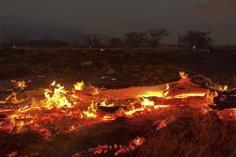 Suasana kebakaran hutan di Maui, Hawaii, Amerika Serikat (10/8/2023) waktu setempat. (AP/Ty O'Neil)