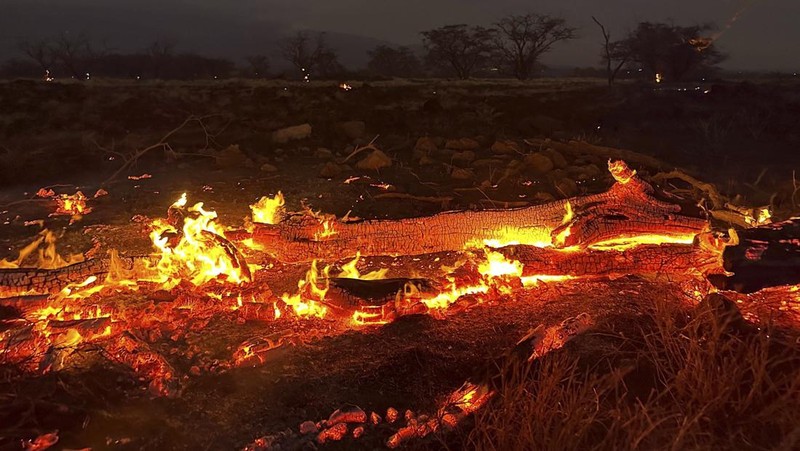 Suasana kebakaran hutan di Maui, Hawaii, Amerika Serikat (10/8/2023) waktu setempat. (AP/Ty O'Neil)