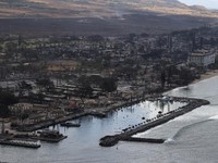 Neraka di Pulau Surga, Korban Kebakaran Hawaii Tembus 80 Jiwa