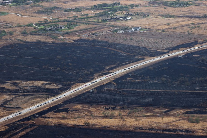 Suasana kebakaran hutan di Maui, Hawaii, Amerika Serikat (10/8/2023) waktu setempat. (AP/Ty O'Neil)