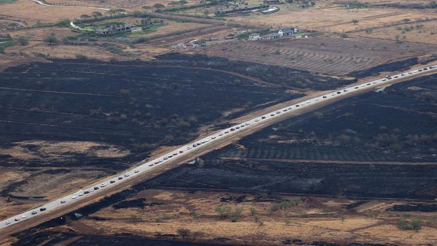 Suasana kebakaran hutan di Maui, Hawaii, Amerika Serikat (10/8/2023) waktu setempat. (AP/Ty O'Neil)