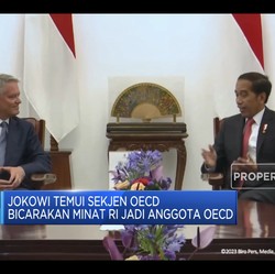 Top! Jadi Anggota OECD, 'Jalan Ninja' RI Jadi Negara Maju