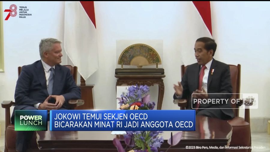 Top! Jadi Anggota OECD, 'Jalan Ninja' RI Jadi Negara Maju