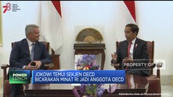 Top! Jadi Anggota OECD, 'Jalan Ninja' RI Jadi Negara Maju