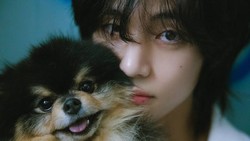 Bisakah Lagu Natal V BTS Kalahkan PLAVE Tahun Ini?
