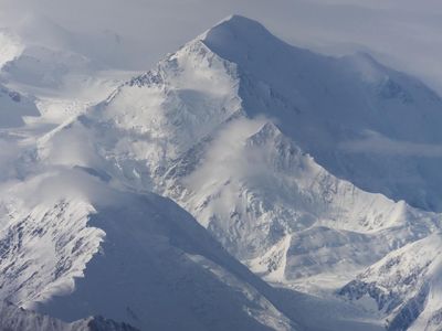 Penampakan Makhluk Misterius di Antartika, Berani Lihat?