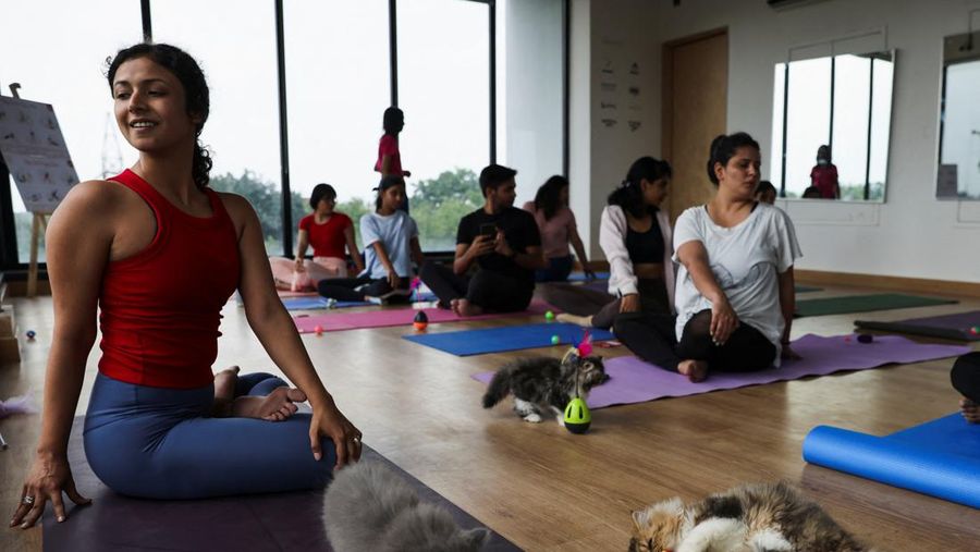 Peserta melakukan yoga saat anak kucing bermain di sekitar mereka dalam sesi yoga yang diselenggarakan oleh Pawhour, di sebuah studio di New Delhi, India, 6 Agustus 2023. (REUTERS/Anushree Fadnavis)