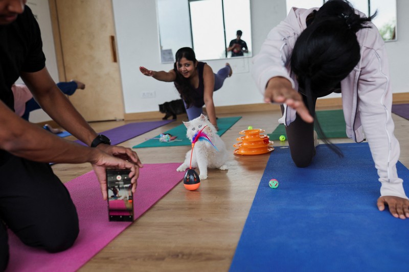 Peserta melakukan yoga saat anak kucing bermain di sekitar mereka dalam sesi yoga yang diselenggarakan oleh Pawhour, di sebuah studio di New Delhi, India, 6 Agustus 2023. (REUTERS/Anushree Fadnavis)