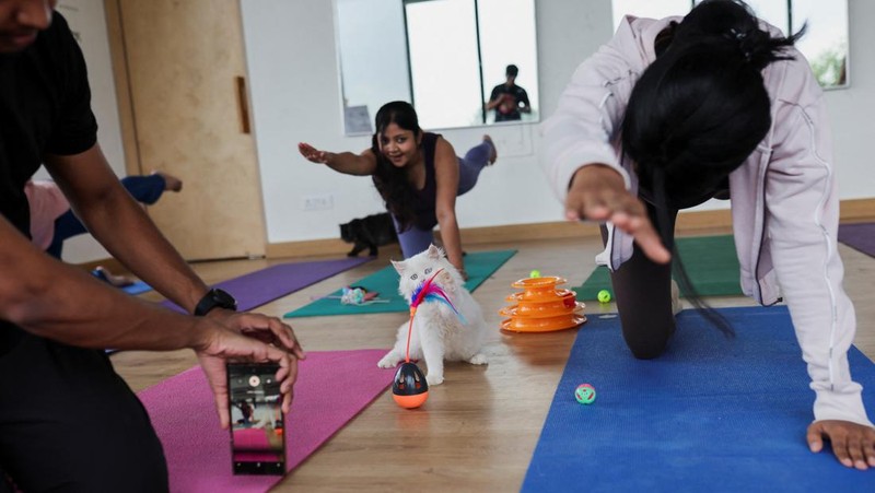 Peserta melakukan yoga saat anak kucing bermain di sekitar mereka dalam sesi yoga yang diselenggarakan oleh Pawhour, di sebuah studio di New Delhi, India, 6 Agustus 2023. (REUTERS/Anushree Fadnavis)