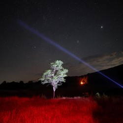 Astronom Ungkap Cara Alien Datang ke Bumi Bukan Naik UFO