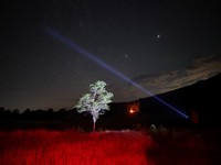 Astronom Ungkap Cara Alien Datang ke Bumi Bukan Naik UFO