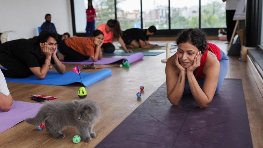 Surbhi Sachdeva, seorang pelatih yoga, melihat para peserta melakukan yoga saat anak-anak kucing bermain di sekitar mereka pada sesi yoga, yang diselenggarakan oleh Pawhour, di sebuah studio di New Delhi, India, 6 Agustus 2023. (REUTERS/Anushree Fadnavis)