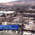 Pasca Kebakaran Hutan, Pulau Maui Mirip 'Zona Perang'