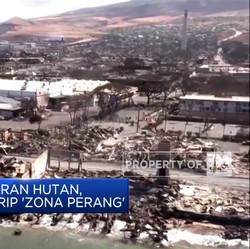 Pasca Kebakaran Hutan, Pulau Maui Mirip 'Zona Perang'