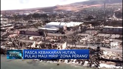 Pasca Kebakaran Hutan, Pulau Maui Mirip 'Zona Perang'