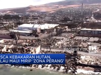 Pasca Kebakaran Hutan, Pulau Maui Mirip 'Zona Perang'
