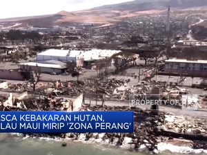 Pasca Kebakaran Hutan, Pulau Maui Mirip 'Zona Perang'