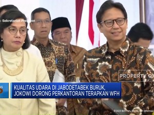 Karena Polusi, Jokowi Dorong Perkantoran Terapkan WFH