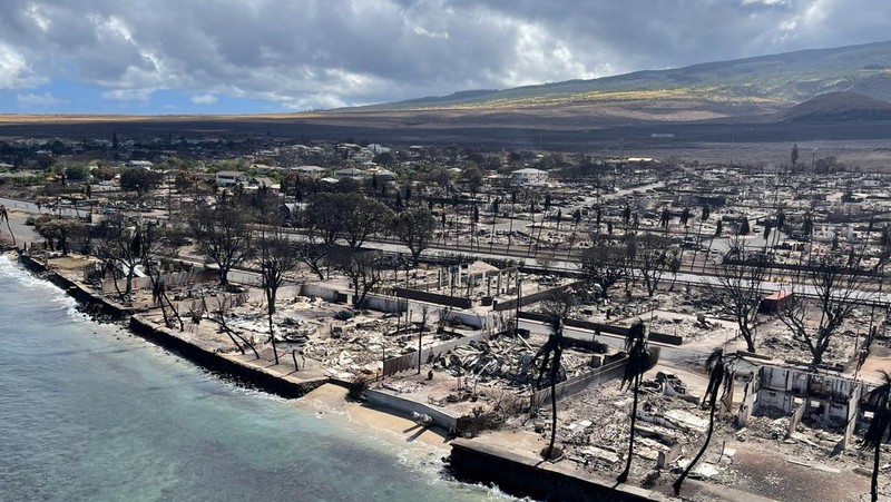 Cangkang rumah dan bangunan yang terbakar tersisa setelah kebakaran hutan yang didorong oleh angin kencang membakar sebagian besar kota di Lahaina, Maui, Hawaii, AS 11 Agustus 2023. (Hawai'i Department of Land and Natural Resources/Handout via REUTERS)