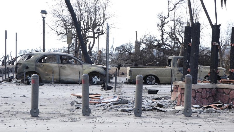 Cangkang rumah dan bangunan yang terbakar tersisa setelah kebakaran hutan yang didorong oleh angin kencang membakar sebagian besar kota di Lahaina, Maui, Hawaii, AS 11 Agustus 2023. (Hawai'i Department of Land and Natural Resources/Handout via REUTERS)