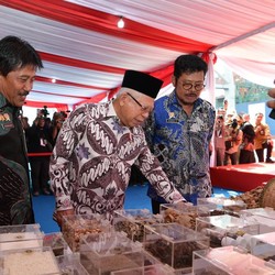 Wapres Ma'ruf Amin Bakal Berkantor di Papua, Ini Alasannya..