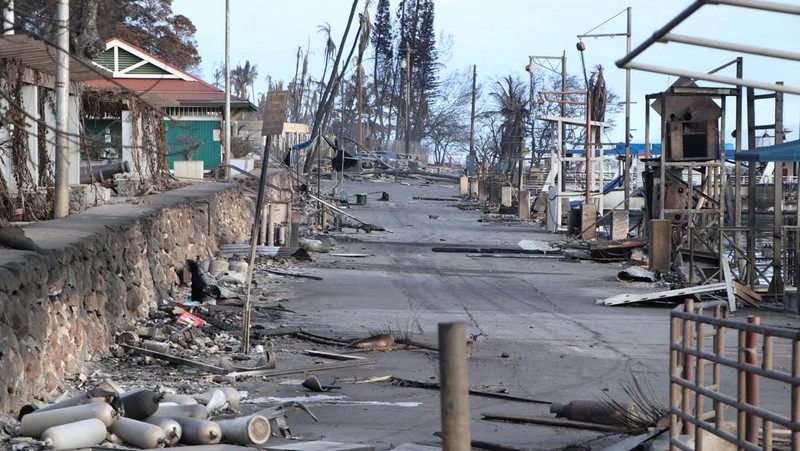 Cangkang rumah dan bangunan yang terbakar tersisa setelah kebakaran hutan yang didorong oleh angin kencang membakar sebagian besar kota di Lahaina, Maui, Hawaii, AS 11 Agustus 2023. (Hawai'i Department of Land and Natural Resources/Handout via REUTERS)