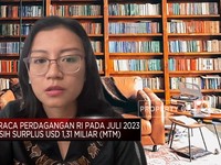Video: Surplus Neraca Dagang RI Susut Tajam, Apa Sebabnya?