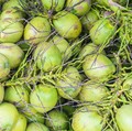 Saat Harga Naik di Dalam Negeri, Ekspor Kelapa RI Tembus US$45,6 Juta