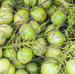 Saat Harga Naik di Dalam Negeri, Ekspor Kelapa RI Tembus US$45,6 Juta