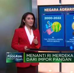 Video: Negara Agraris Kok Masih Impor Beras?
