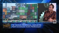 Alutsista RI Diminati Negara Lain, Tapi Terkendala Ini