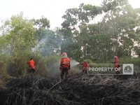 Kebakaran Gambut Sumsel Meluas, Petugas Berjuang Padamkan Api