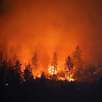 Potret Ngeri Kebakaran Hutan Kanada, Ribuan Warga Mengungsi