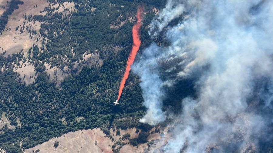 Warga menyelamatkan diri saat terjadi kebakaran di wilayah Kanada. Bill Braden /The Canadian Press via AP)