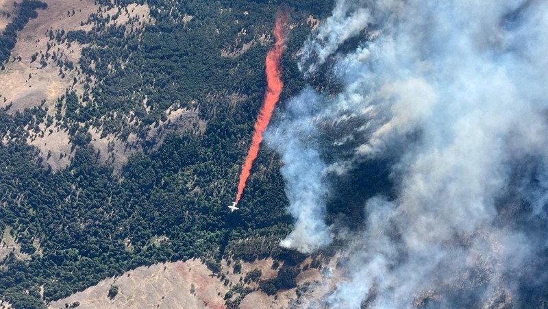 Warga menyelamatkan diri saat terjadi kebakaran di wilayah Kanada. Bill Braden /The Canadian Press via AP)