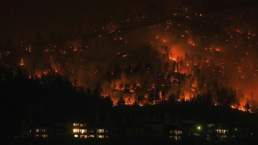 Kebakaran melanda hutan Kanada. (AP/Darryl Dyck)