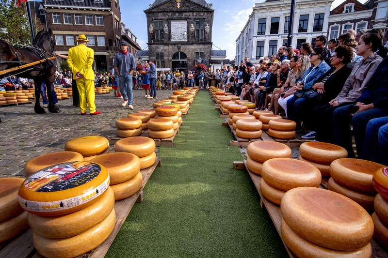 Keju Gouda tercatat sebagai salah satu keju tertua yang masih terus dibuat. Keju Gouda pertama kali disebut pada tahun 1184. (AP Photo/Michael Probst) Keju Gouda tercatat sebagai salah satu keju tertua yang masih terus dibuat. Keju Gouda pertama kali disebut pada tahun 1184. (AP Photo/Michael Probst)