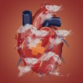 Dokter Ungkap Anak Muda Mulai Kena Penyakit Jantung, Begini Alasannya