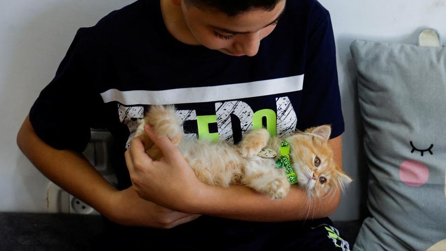 Pengunjung bermain dengan kucing di 