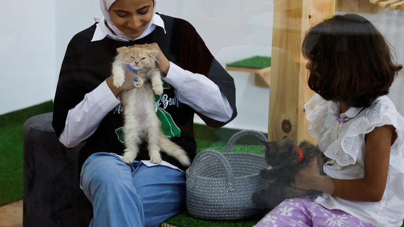 Pengunjung bermain dengan kucing di 