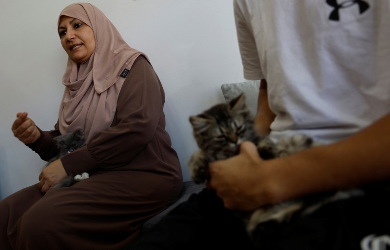 Pengunjung bermain dengan kucing di Pengunjung bermain dengan kucing di
