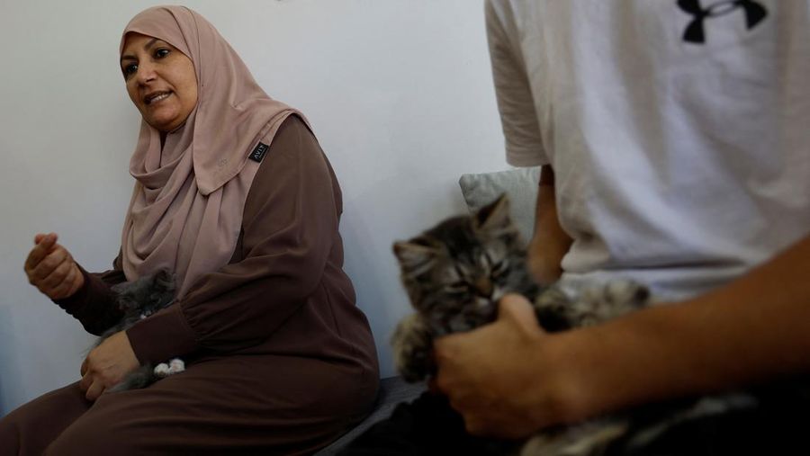 Pengunjung bermain dengan kucing di 