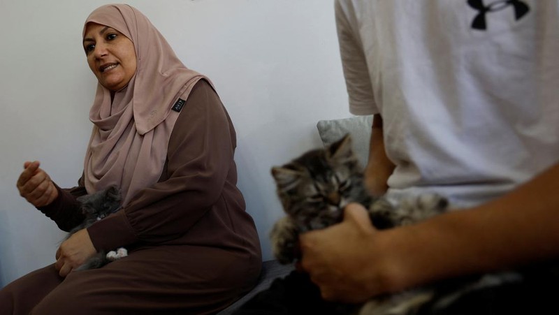 Pengunjung bermain dengan kucing di 