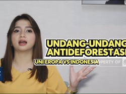 UU Anti Deforestasi Makan Tuan, Eropa Terancam Krisis Cokelat